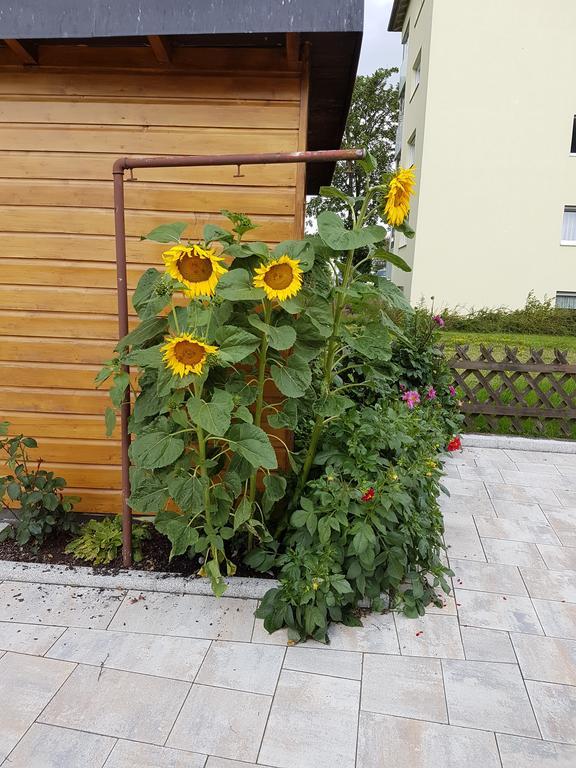 Gaestehaus Steininger تزفيسل المظهر الخارجي الصورة